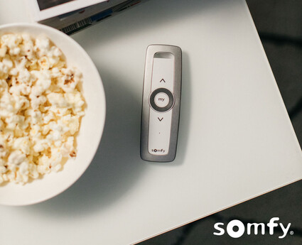 Somfy Situo 1 Variation